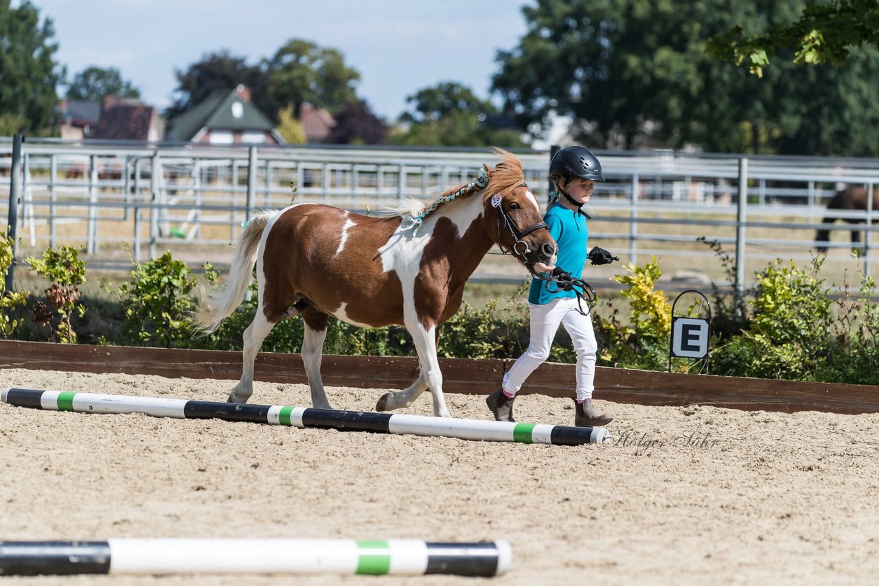 Bild 209 - Pony Akademie Turnier